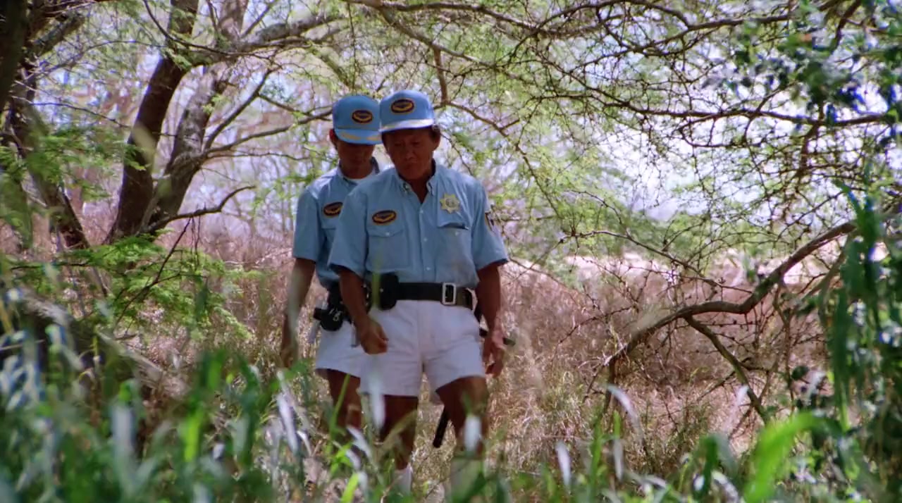 Hard Ticket to Hawaii screenshot 1