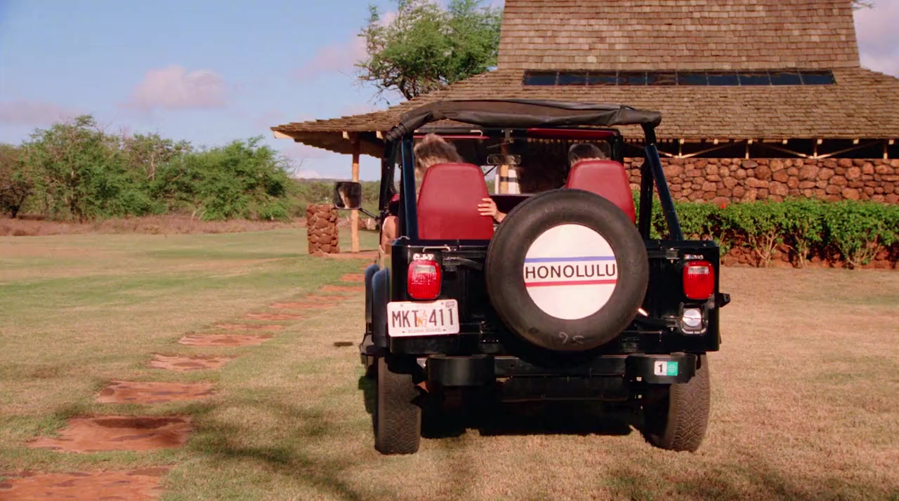 Hard Ticket to Hawaii screenshot 2