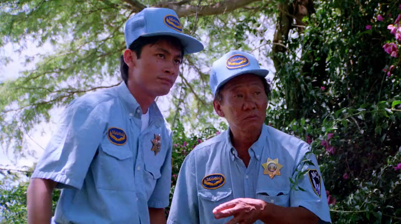 Hard Ticket to Hawaii screenshot 3
