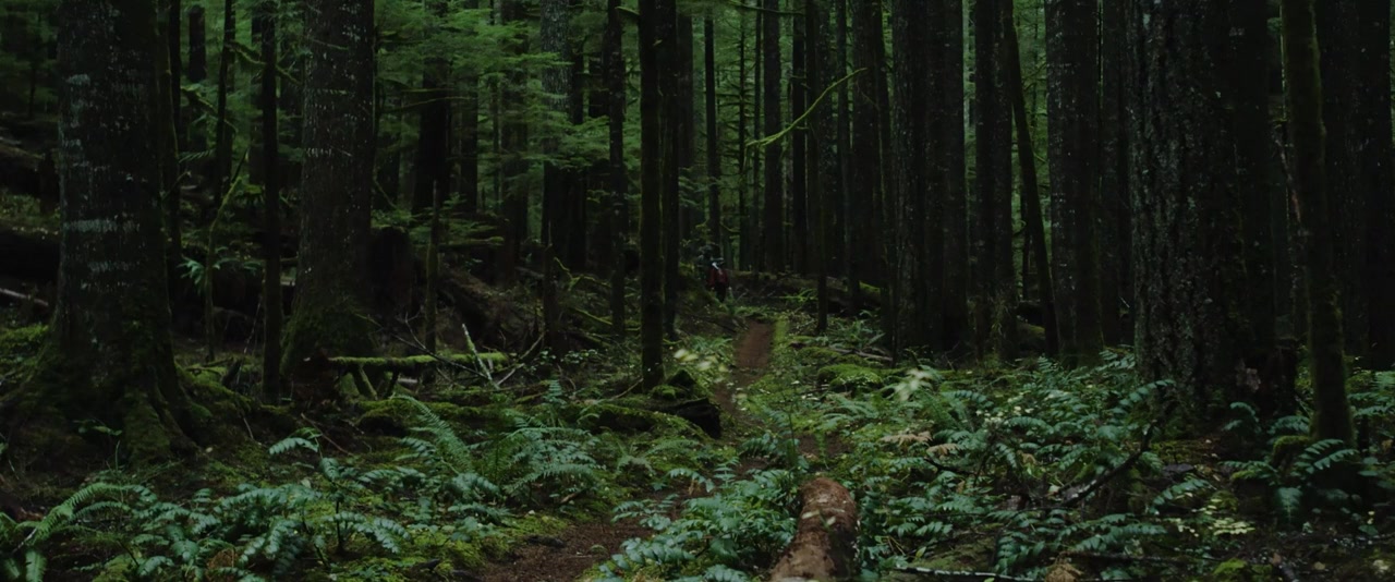 Harmony Falls screenshot 1