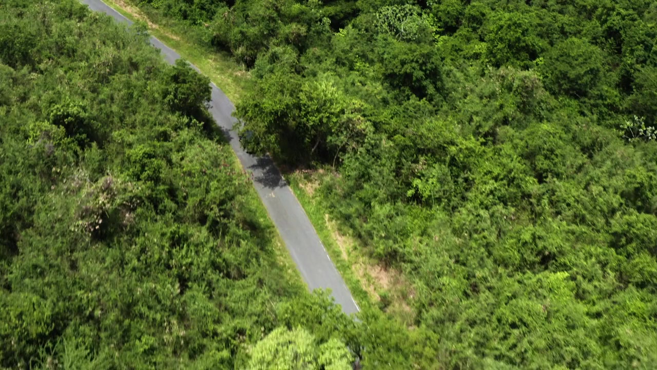Harmony in Paradise screenshot 1