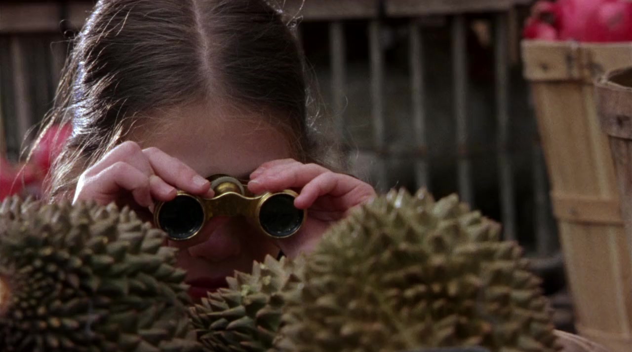 Harriet the Spy screenshot 2