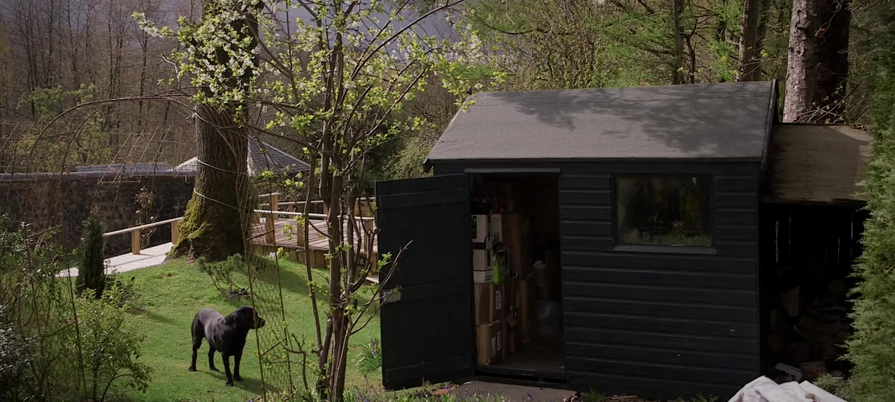 Harry Birrell Presents Films of Love and War screenshot 1