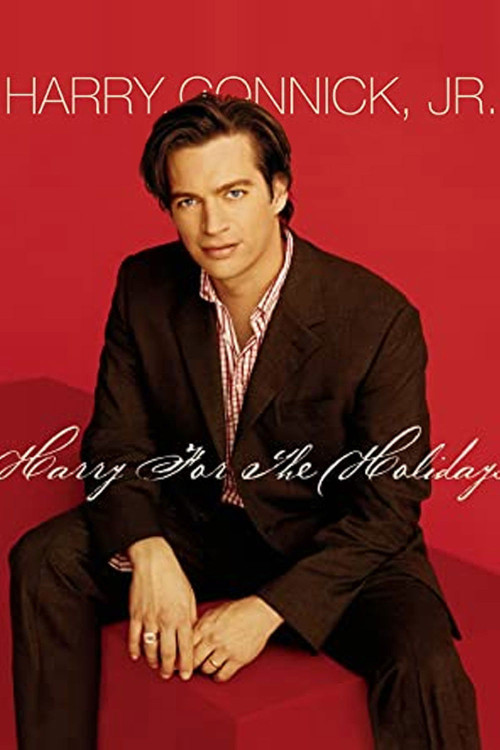 Harry for the Holidays (2003) poster