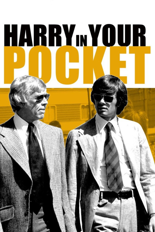 Harry in Your Pocket (1973) poster