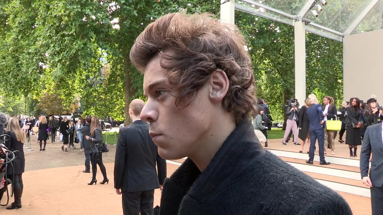 Harry Styles: The Finishing Touch screenshot 1