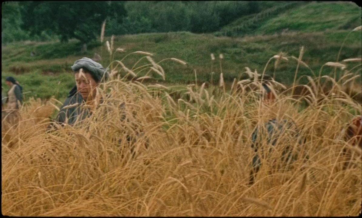 Harvest screenshot 1