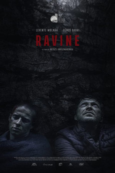 Hasadék (2021) poster