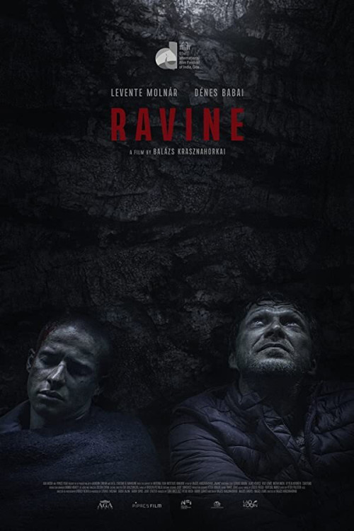 Hasadék (2021) poster