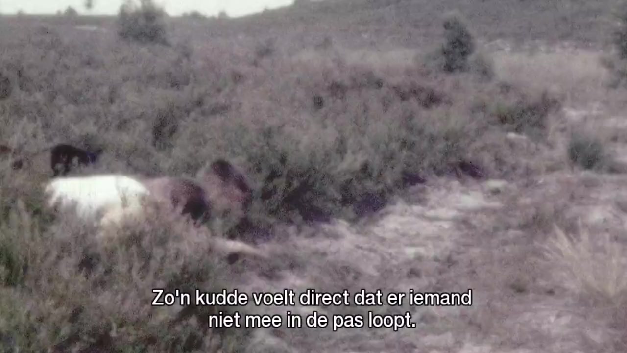 Het Bijzondere Levensverhaal van Karl Eriksson screenshot 3
