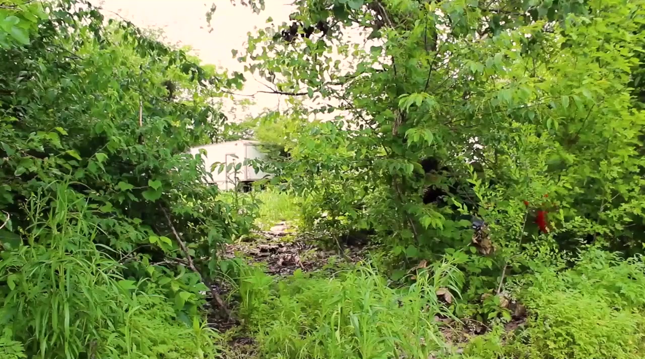 Headcheese: The Movie screenshot 1