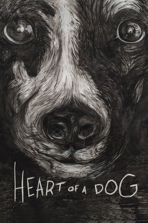 Heart of a Dog (2015) poster