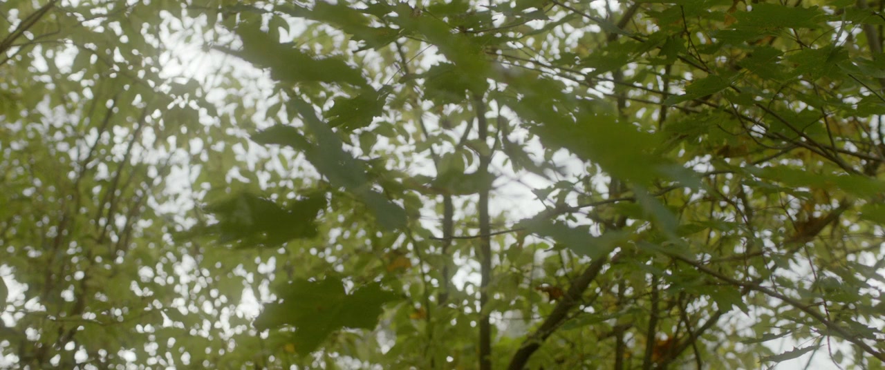 Leijonasydän screenshot 2