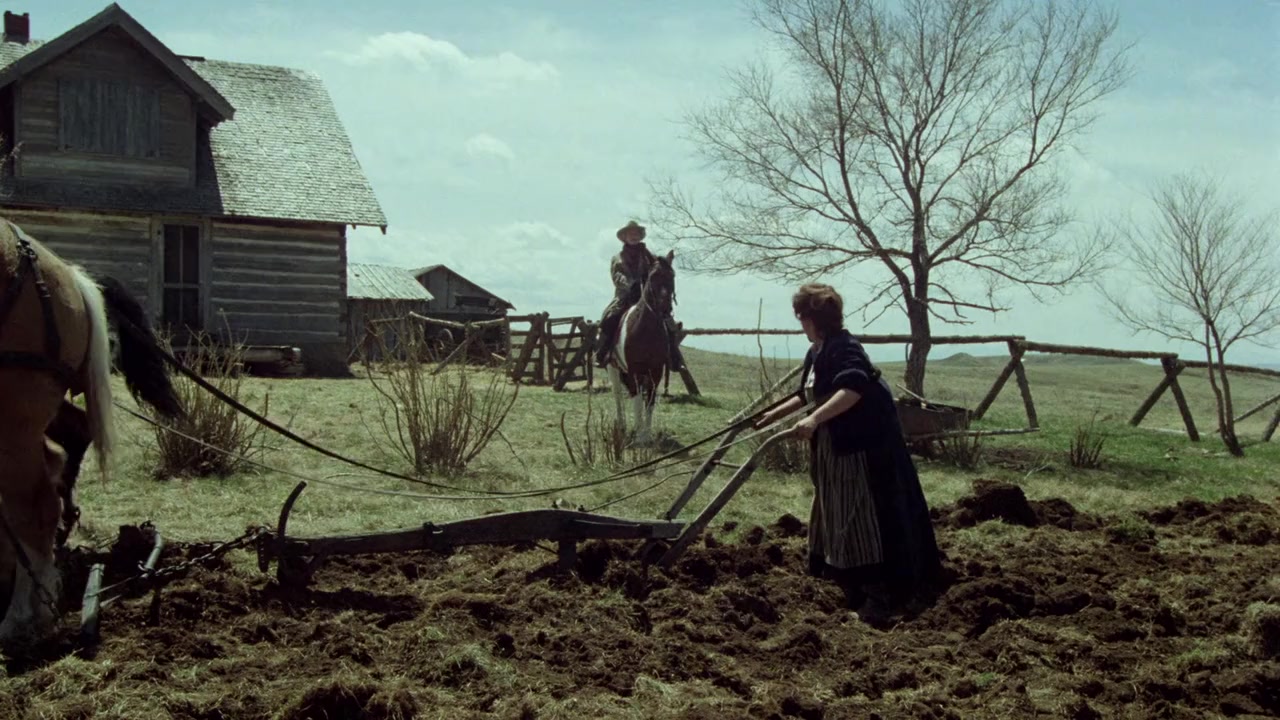Heartland screenshot 1