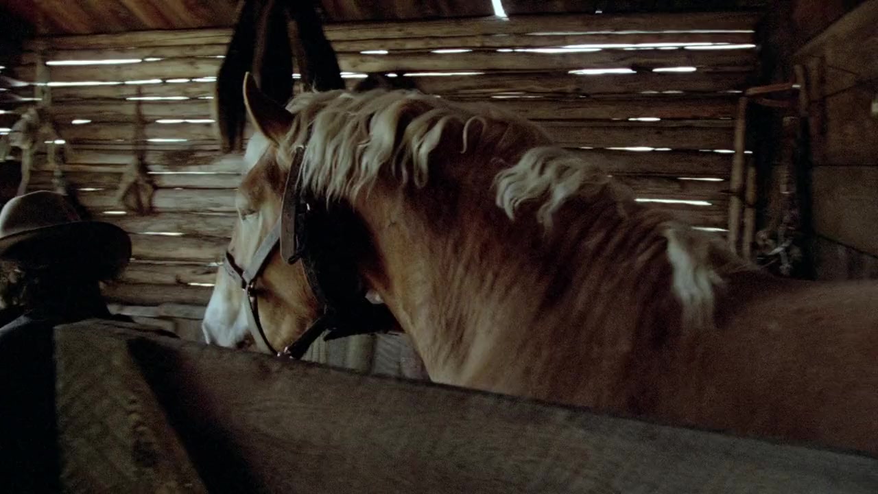 Heartland screenshot 3