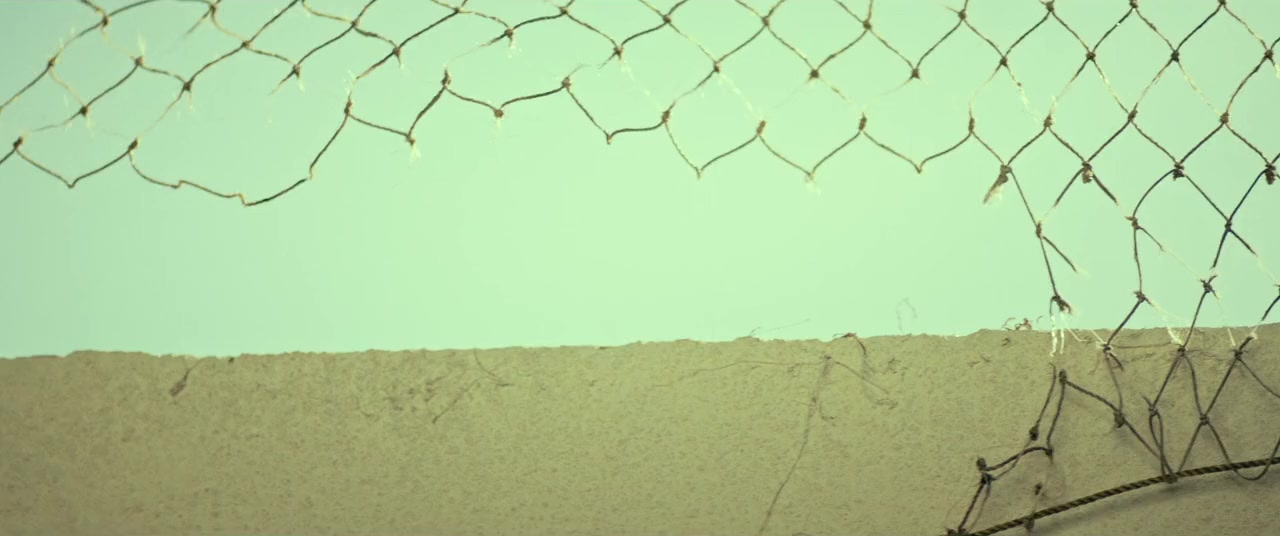 Sem Coração screenshot 3