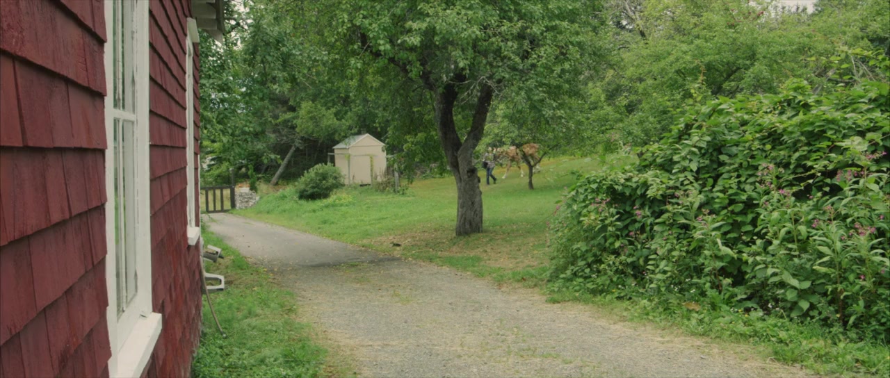 Hearts & Horses screenshot 2