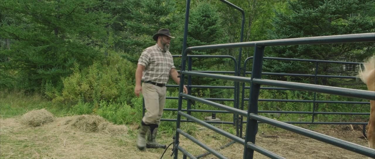 Hearts & Horses screenshot 3