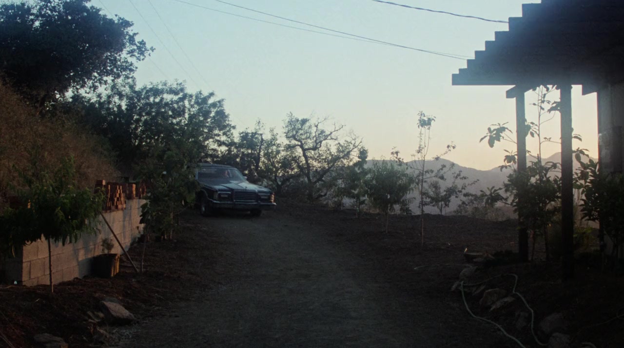 Heaven Can Wait screenshot 2
