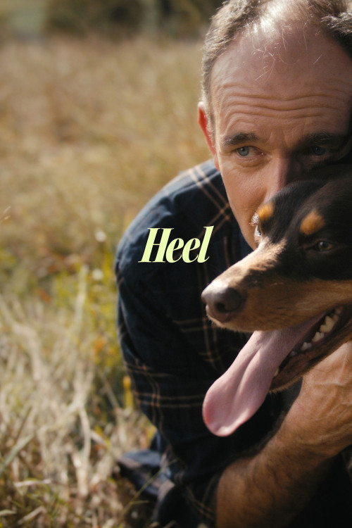 Good Boy (2025) poster