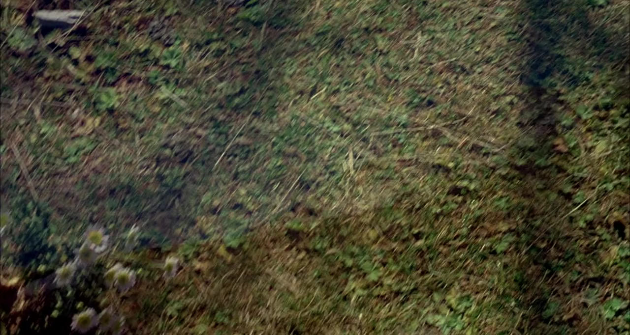 Heidi screenshot 2