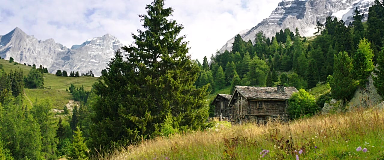 Heidi screenshot 1