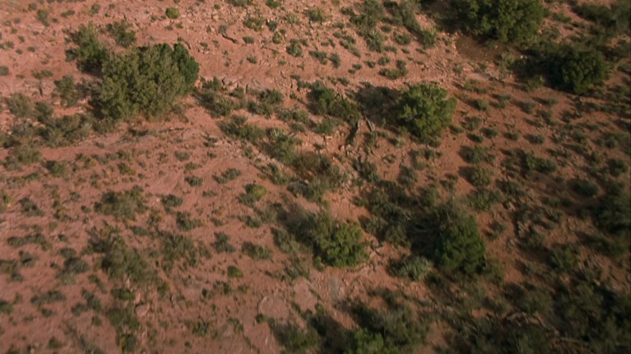 Held Up screenshot 3