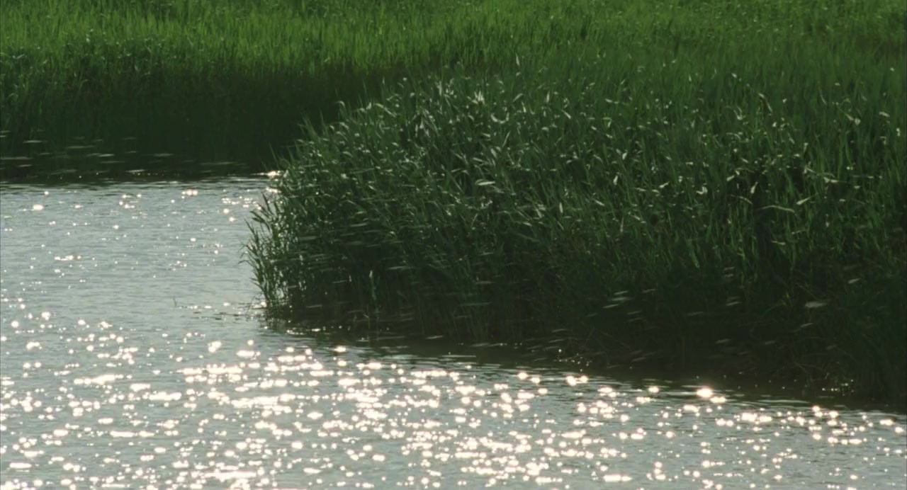Kogitsune Heren screenshot 3