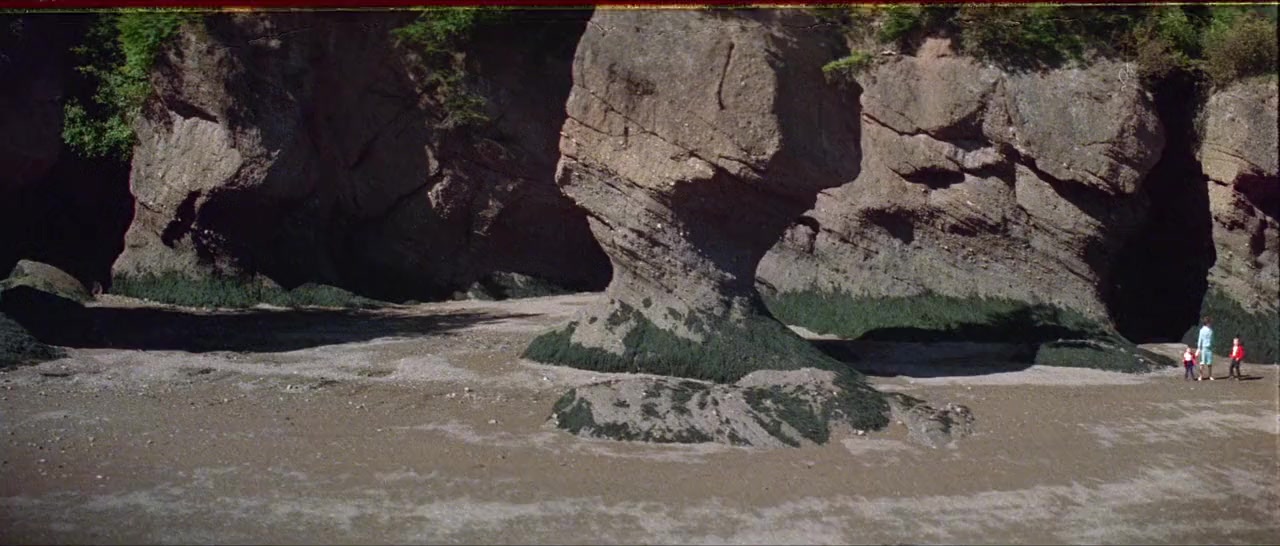 Helicopter Canada screenshot 3