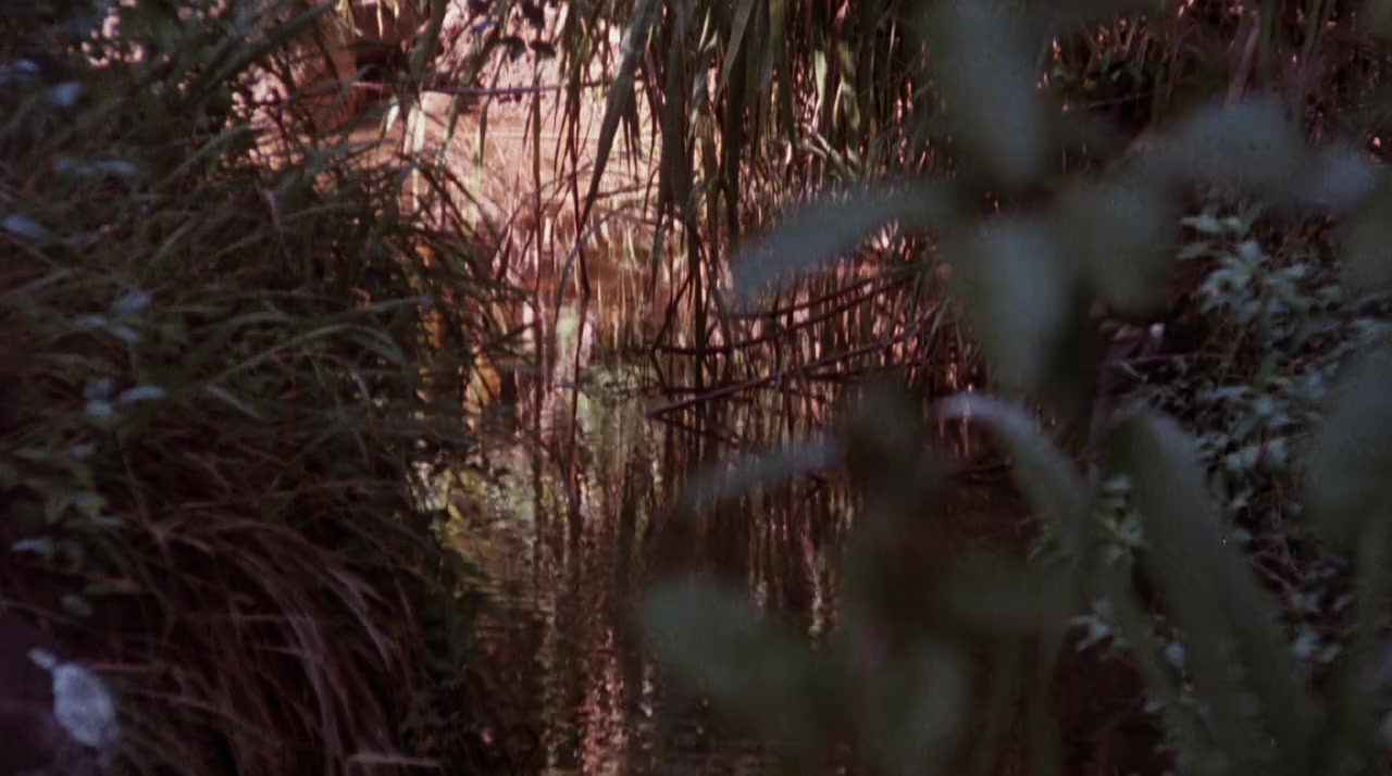 Hell Hunters screenshot 3