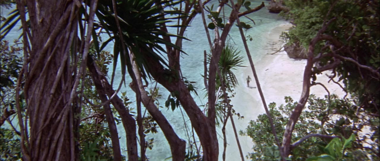 Hell in the Pacific screenshot 1