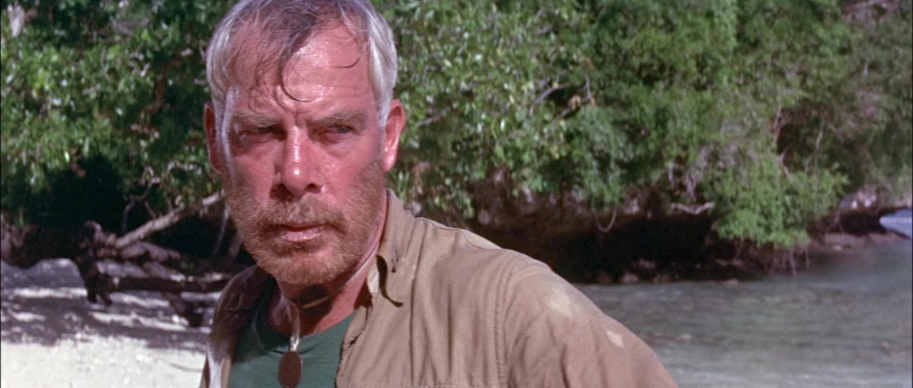 Hell in the Pacific screenshot 2