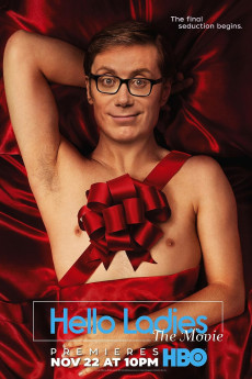 Hello Ladies: The Movie (2014) poster