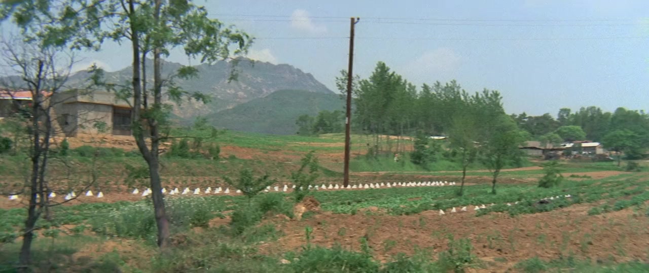 Si qi shi screenshot 2