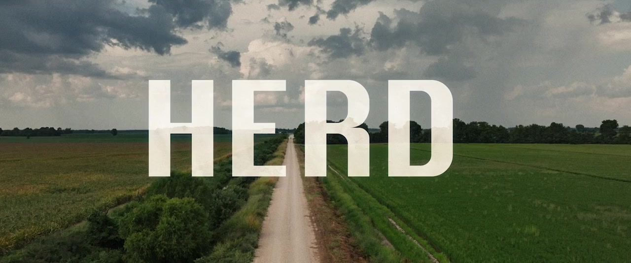Herd screenshot 2