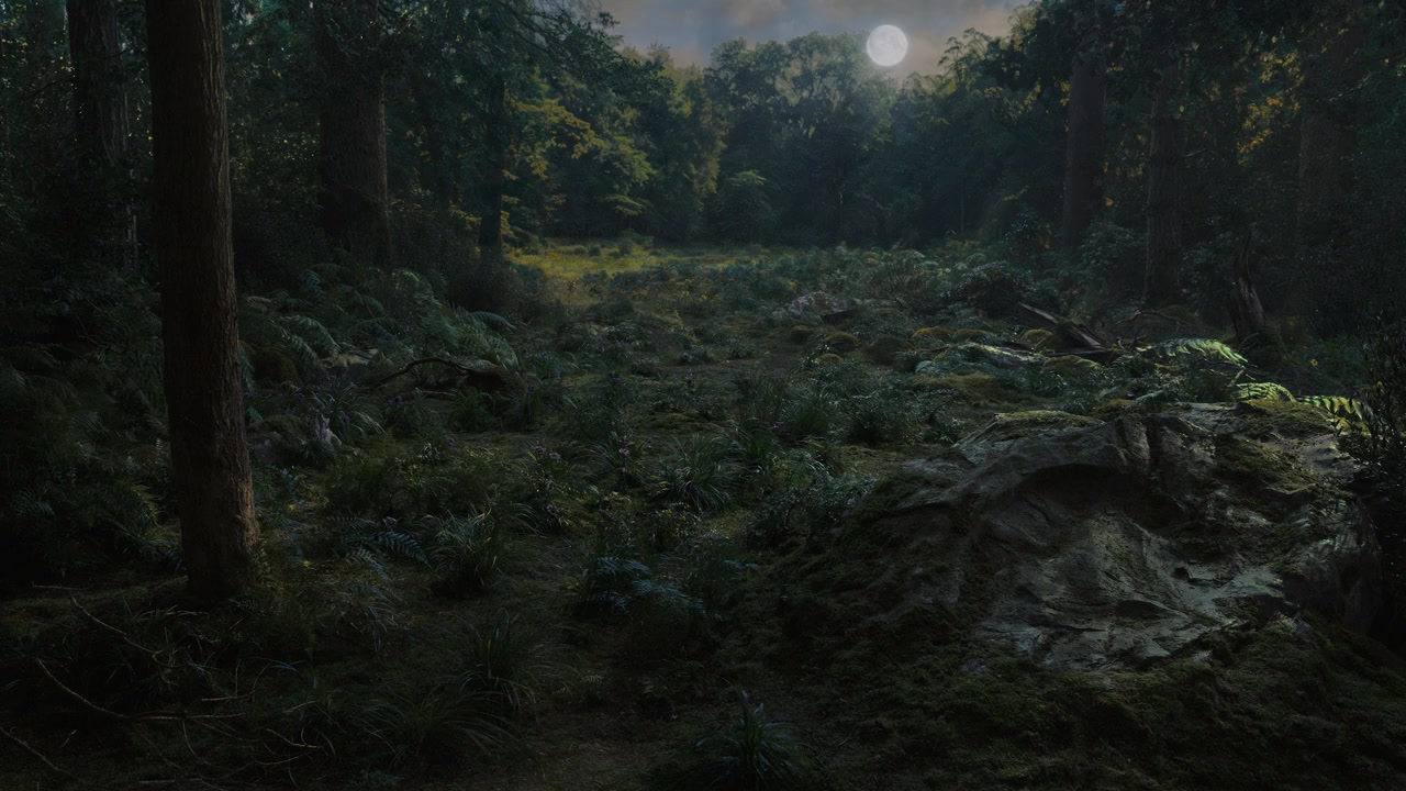 Here screenshot 3