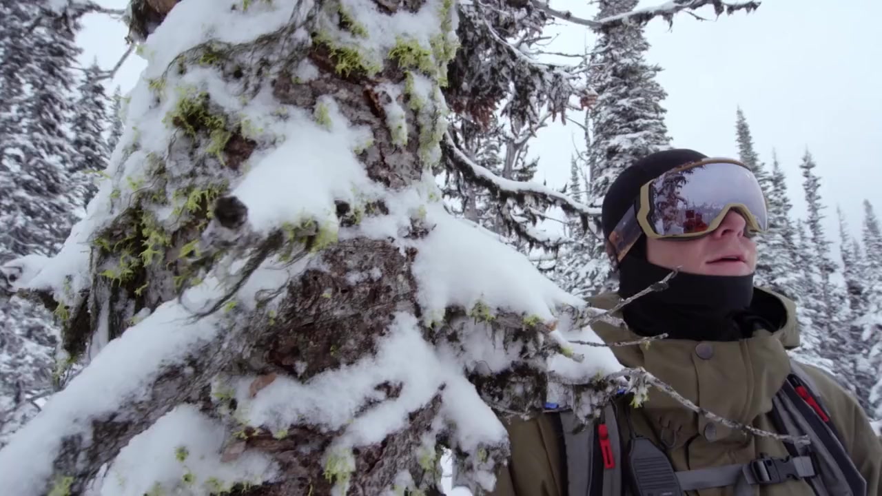 Here, There & Everywhere screenshot 3