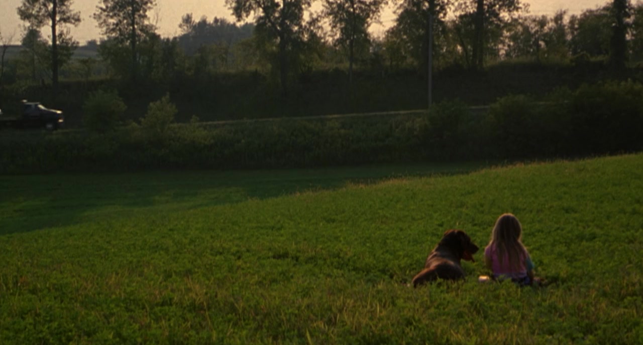 Here on Earth screenshot 1
