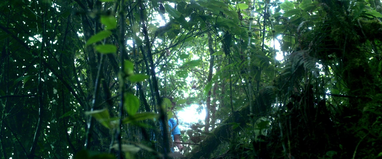 Pasos de héroe screenshot 1