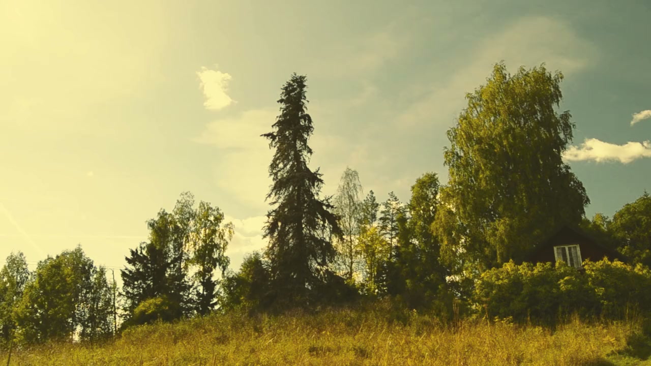 Hermit: Monster Killer screenshot 1