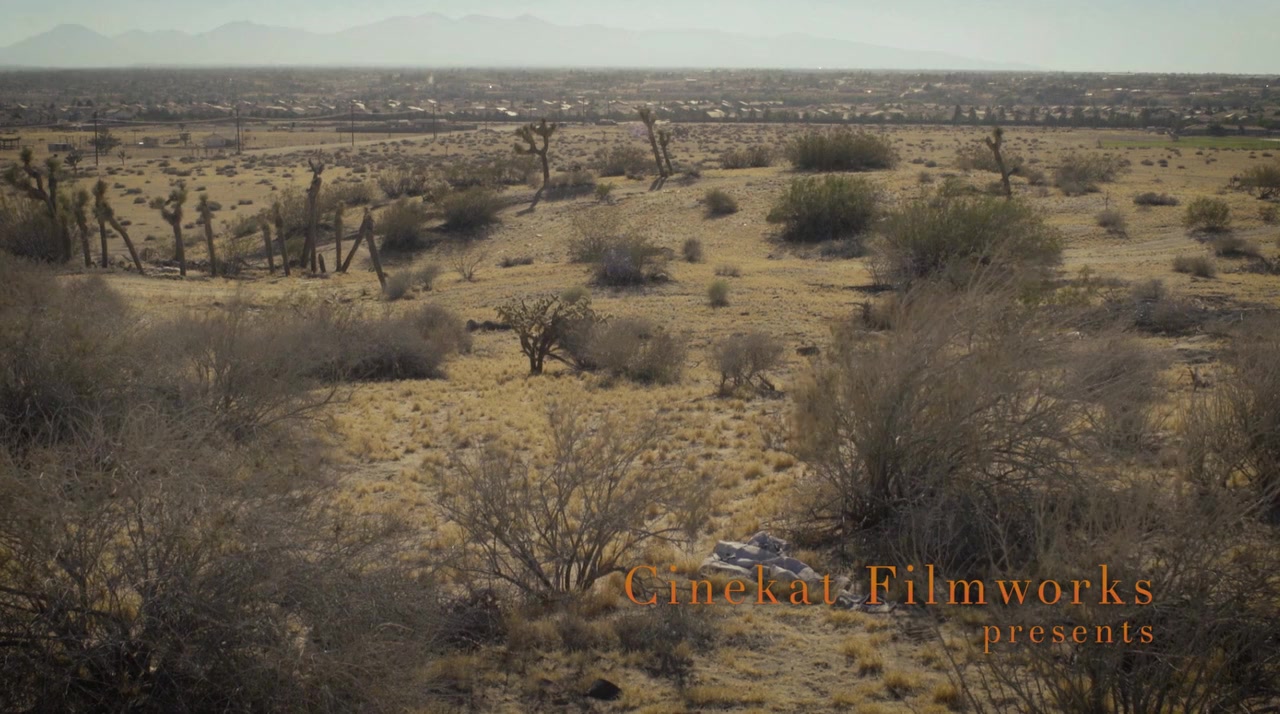 Hesperia screenshot 1