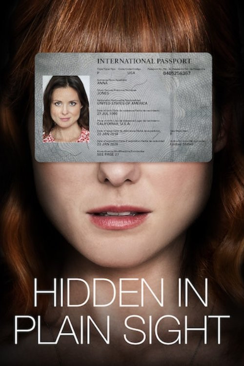 Hidden in Plain Sight (2019) poster