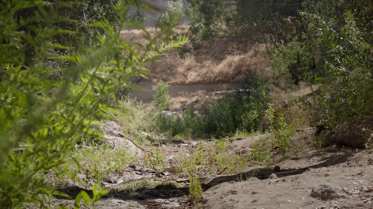 Hidden in Plain Sight screenshot 1