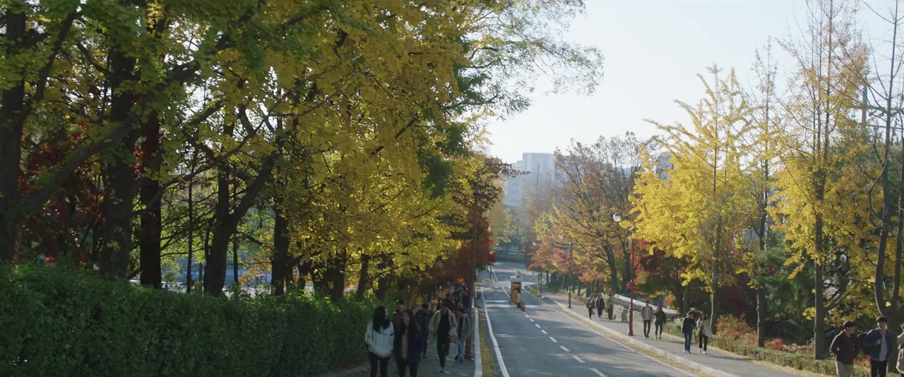 Sanglyusahoe screenshot 1