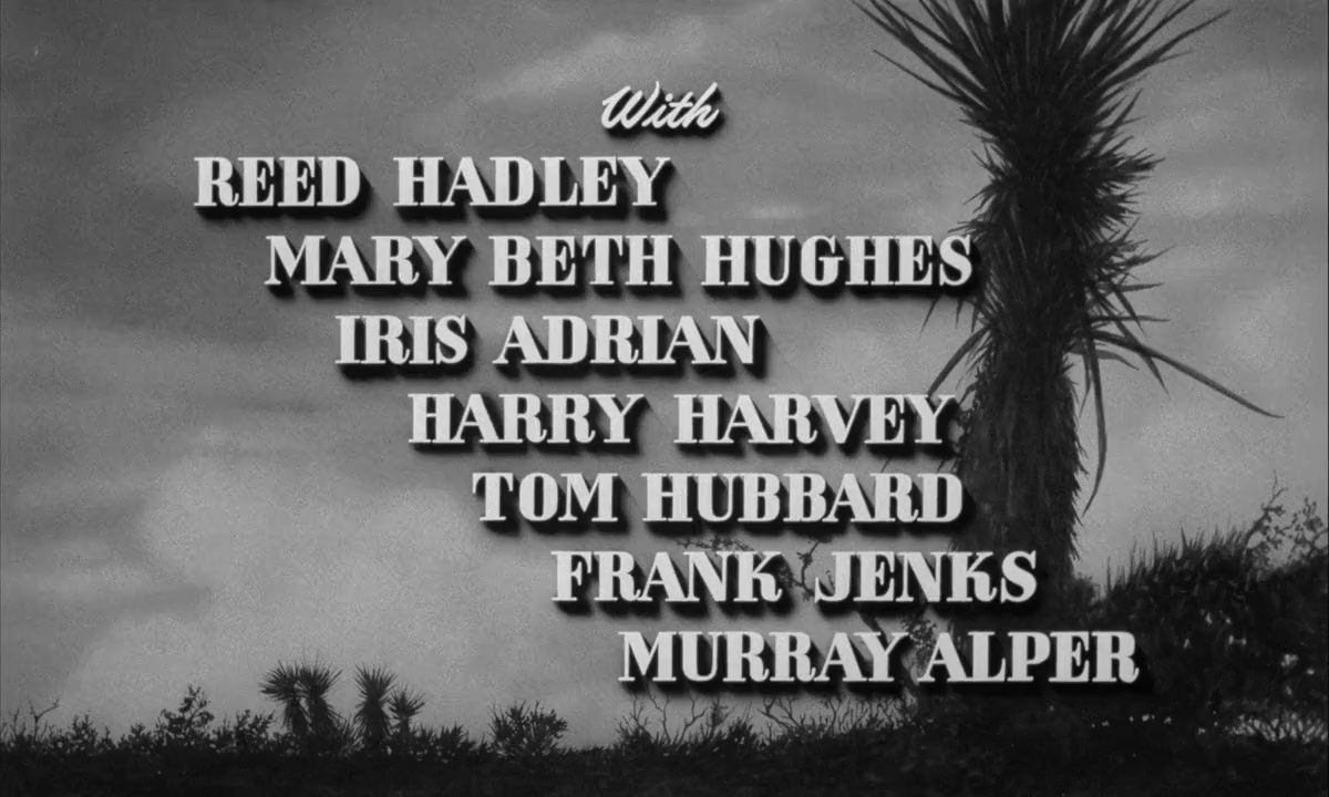 Highway Dragnet screenshot 2