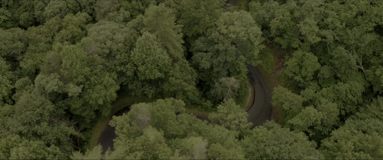 Hillbilly Elegy screenshot 1