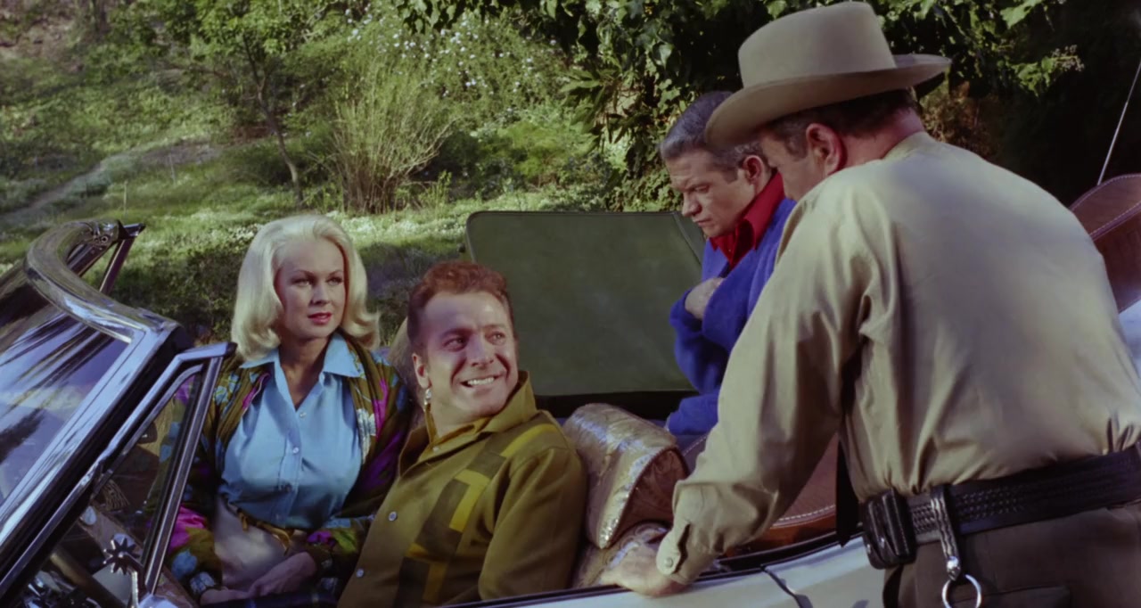 Hillbillys in a Haunted House screenshot 1