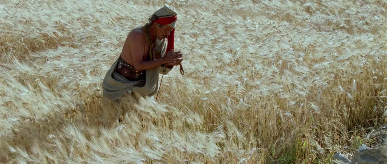 Himalaya - l'enfance d'un chef screenshot 1