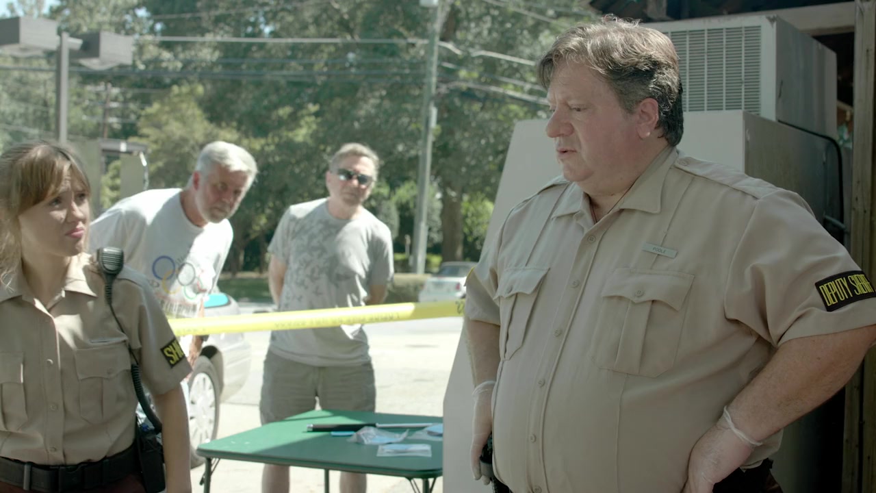 Hubcap screenshot 2