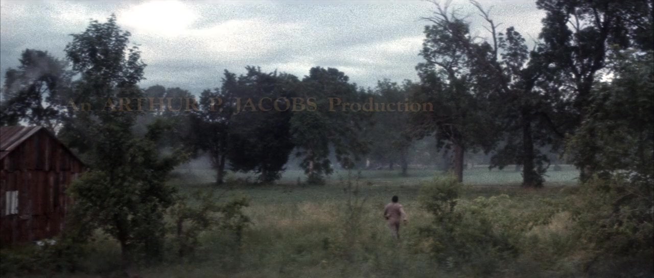 Huckleberry Finn screenshot 2